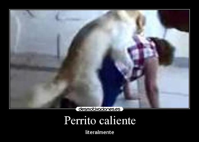Perrito caliente -