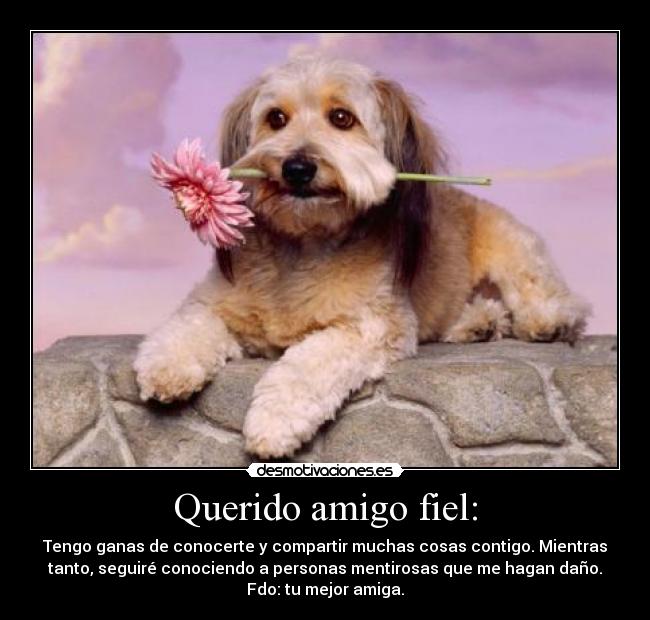 Querido amigo fiel: - Tengo ganas de conocerte y compartir muchas cosas contigo. Mientras
tanto, seguiré conociendo a personas mentirosas que me hagan daño.
Fdo: tu mejor amiga.