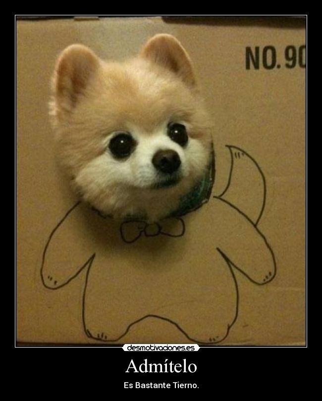 Admítelo - Es Bastante Tierno.