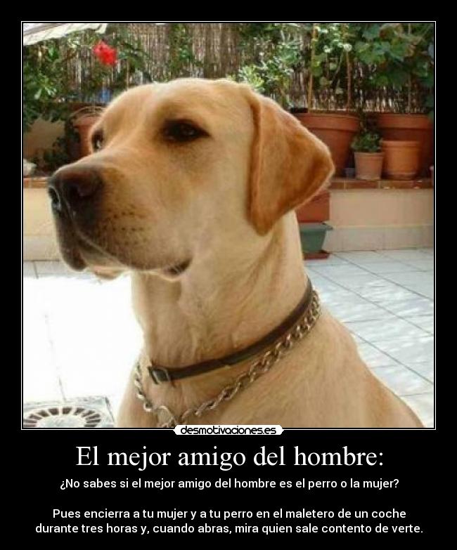 El mejor amigo del hombre: - ¿No sabes si el mejor amigo del hombre es el perro o la mujer?
Pues encierra a tu mujer y a tu perro en el maletero de un coche
durante tres horas y, cuando abras, mira quien sale contento de verte.