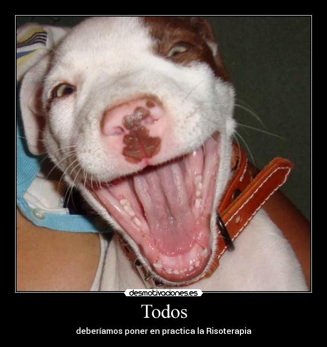 Todos - deberíamos poner en practica la Risoterapia