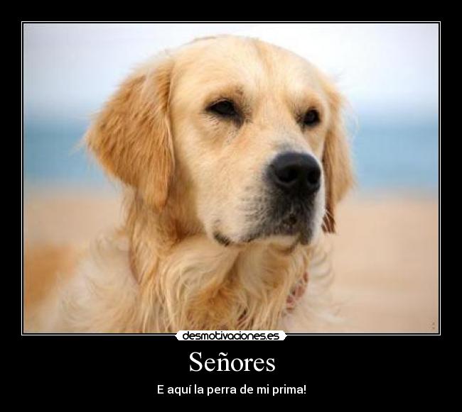 Señores - 