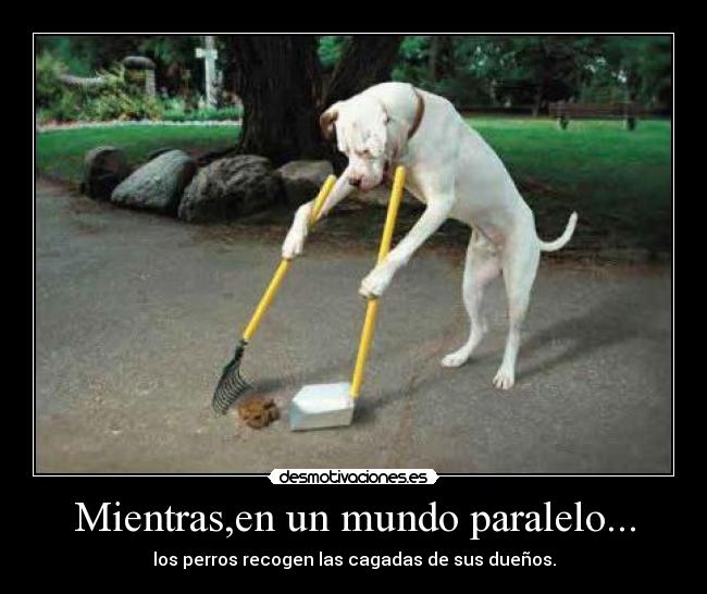 carteles mundo perro mundo paralelo cagadas desmotivaciones