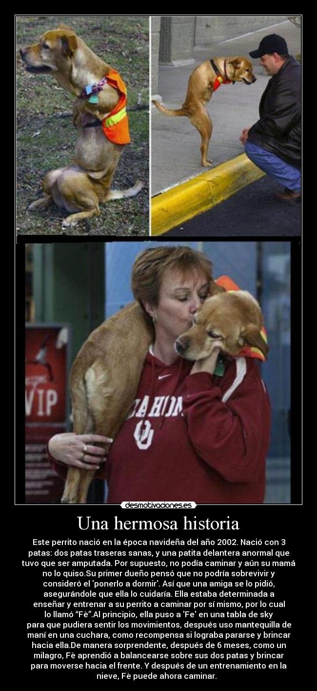 Una hermosa historia - 