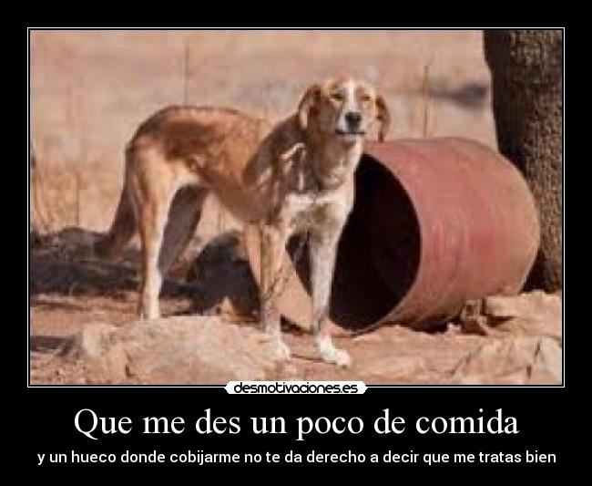 Que me des un poco de comida -