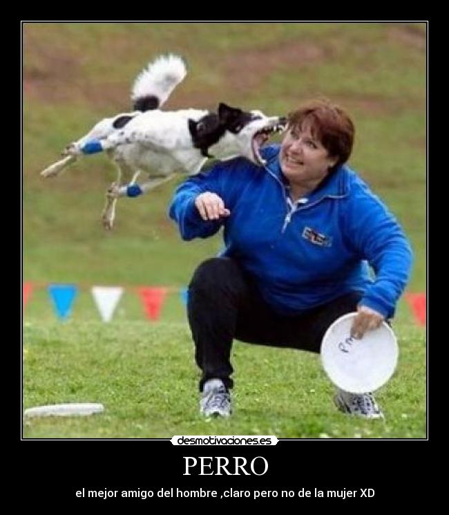 PERRO - el mejor amigo del hombre ,claro pero no de la mujer XD