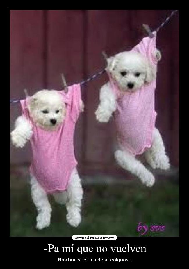 -Pa mí que no vuelven - -Nos han vuelto a dejar colgaos...