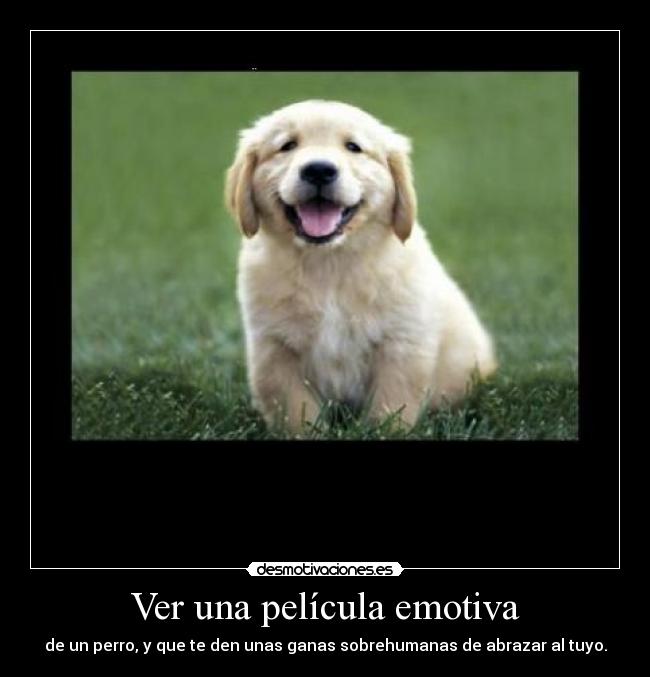 Ver una película emotiva - 