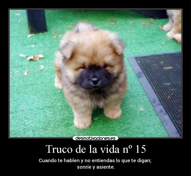 Truco de la vida nº 15 -