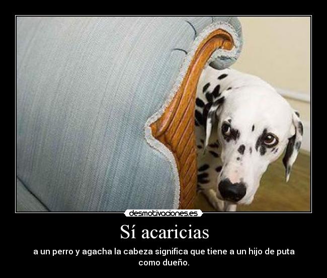 Sí acaricias - a un perro y agacha la cabeza significa que tiene a un hijo de puta como dueño.