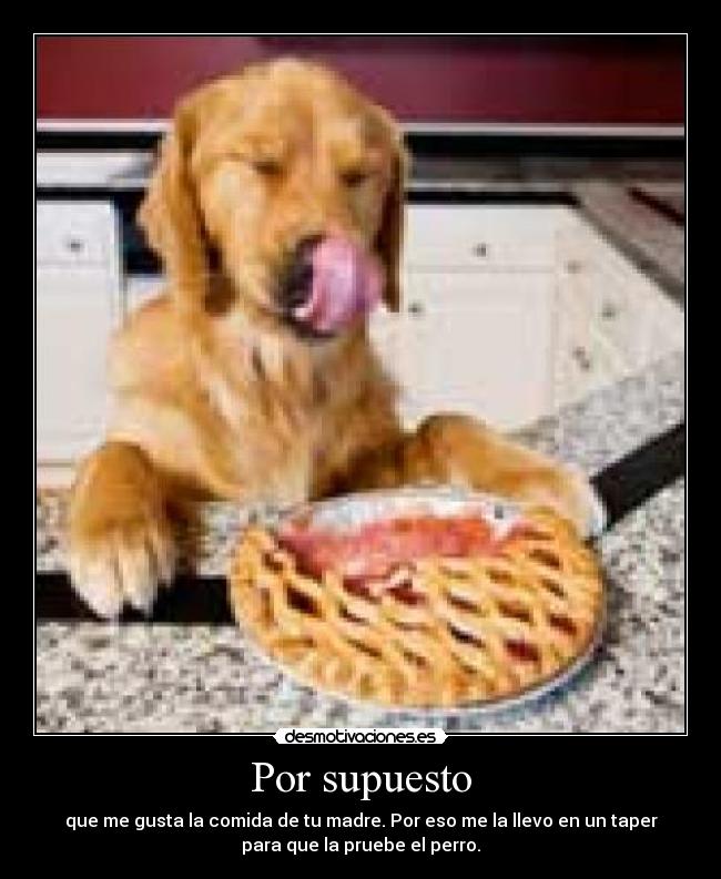 Por supuesto - que me gusta la comida de tu madre. Por eso me la llevo en un taper
para que la pruebe el perro.