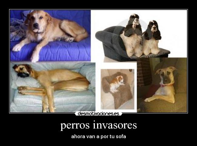 carteles khjdghsefghjlv desmotivaciones