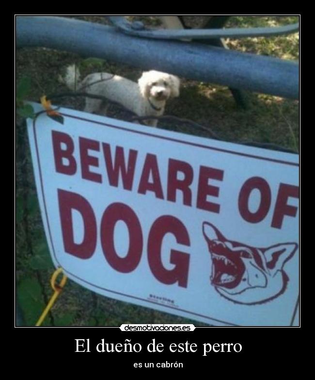El dueño de este perro -