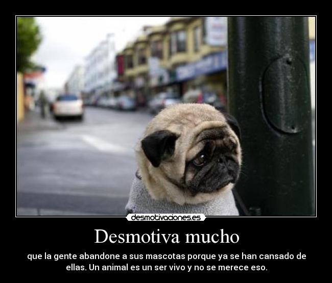 carteles desmotiva mucho desmotivaciones