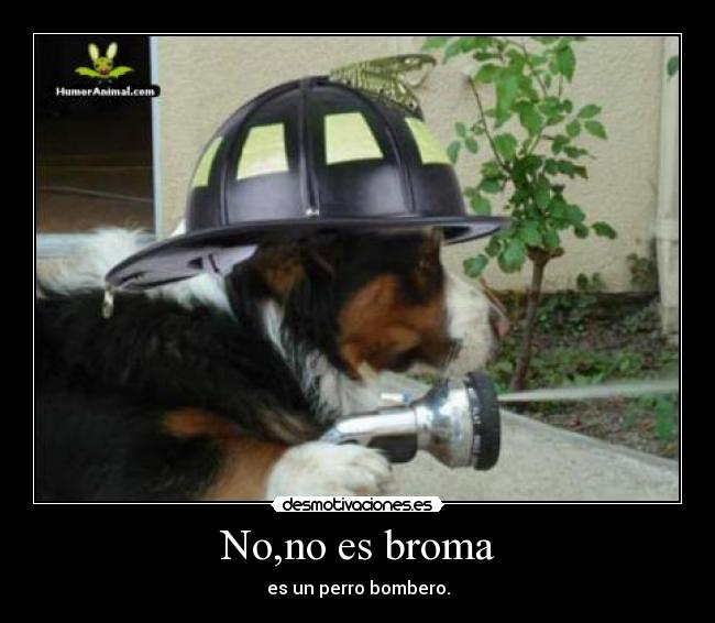 No,no es broma - 