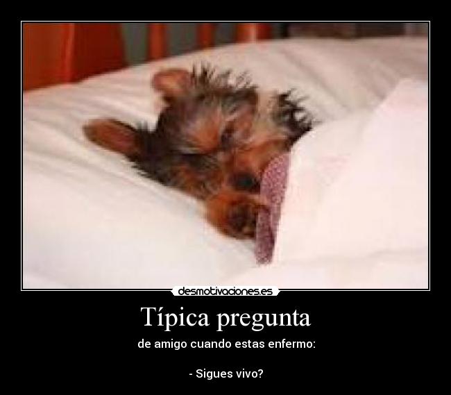 Típica pregunta - de amigo cuando estas enfermo:
- Sigues vivo?
