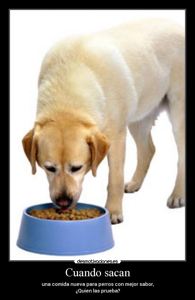 Cuando sacan - una comida nueva para perros con mejor sabor,
¿Quien las prueba?