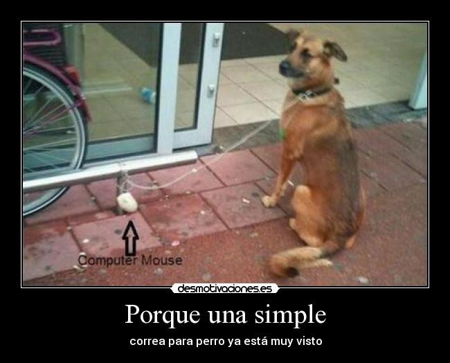 Porque una simple - correa para perro ya está muy visto