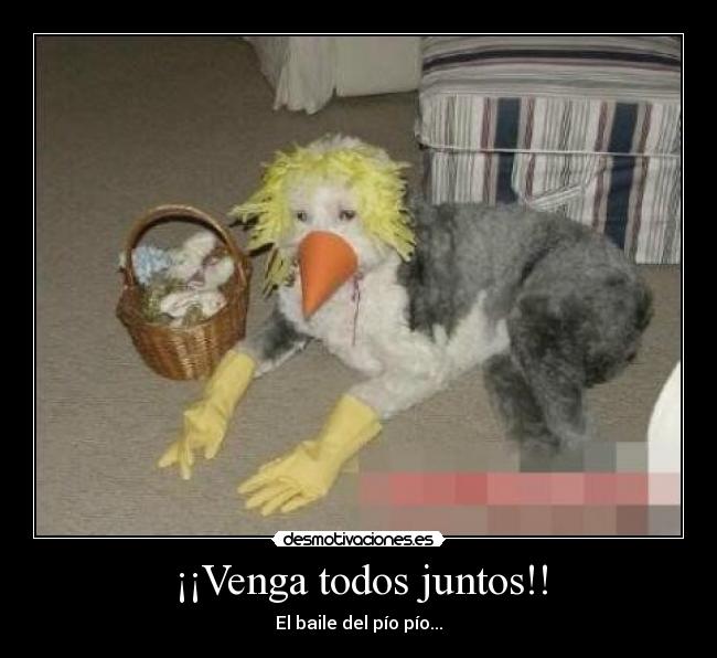 ¡¡Venga todos juntos!! -