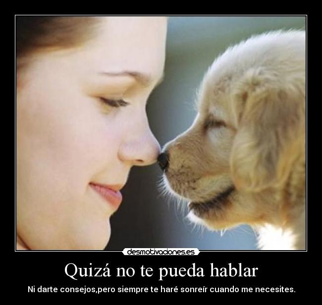Quizá no te pueda hablar -