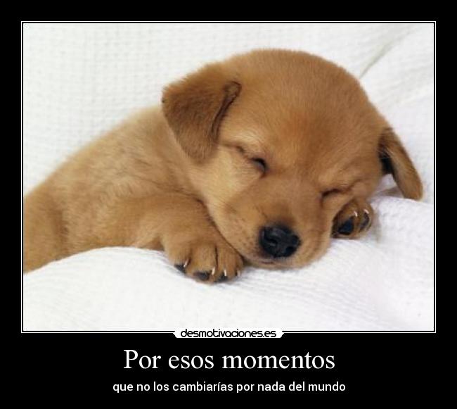 Por esos momentos -