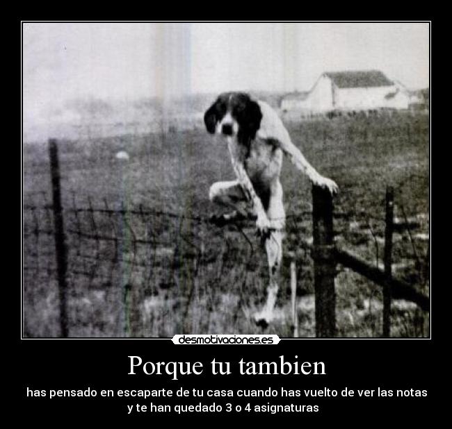Porque tu tambien - has pensado en escaparte de tu casa cuando has vuelto de ver las notas
y te han quedado 3 o 4 asignaturas