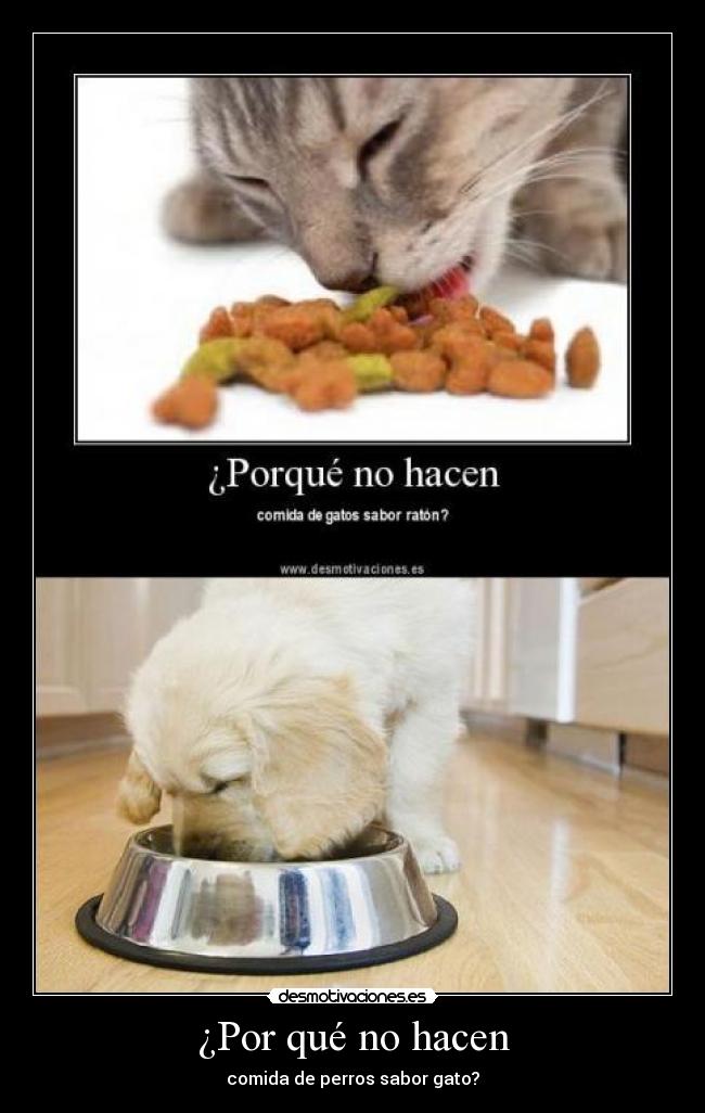 carteles rcngl desmotivaciones