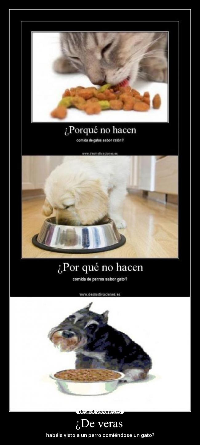 carteles jodais vivo quereis pego tiro desmotivaciones