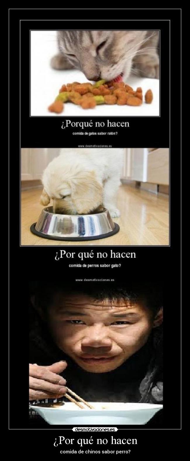 ¿Por qué no hacen - comida de chinos sabor perro?