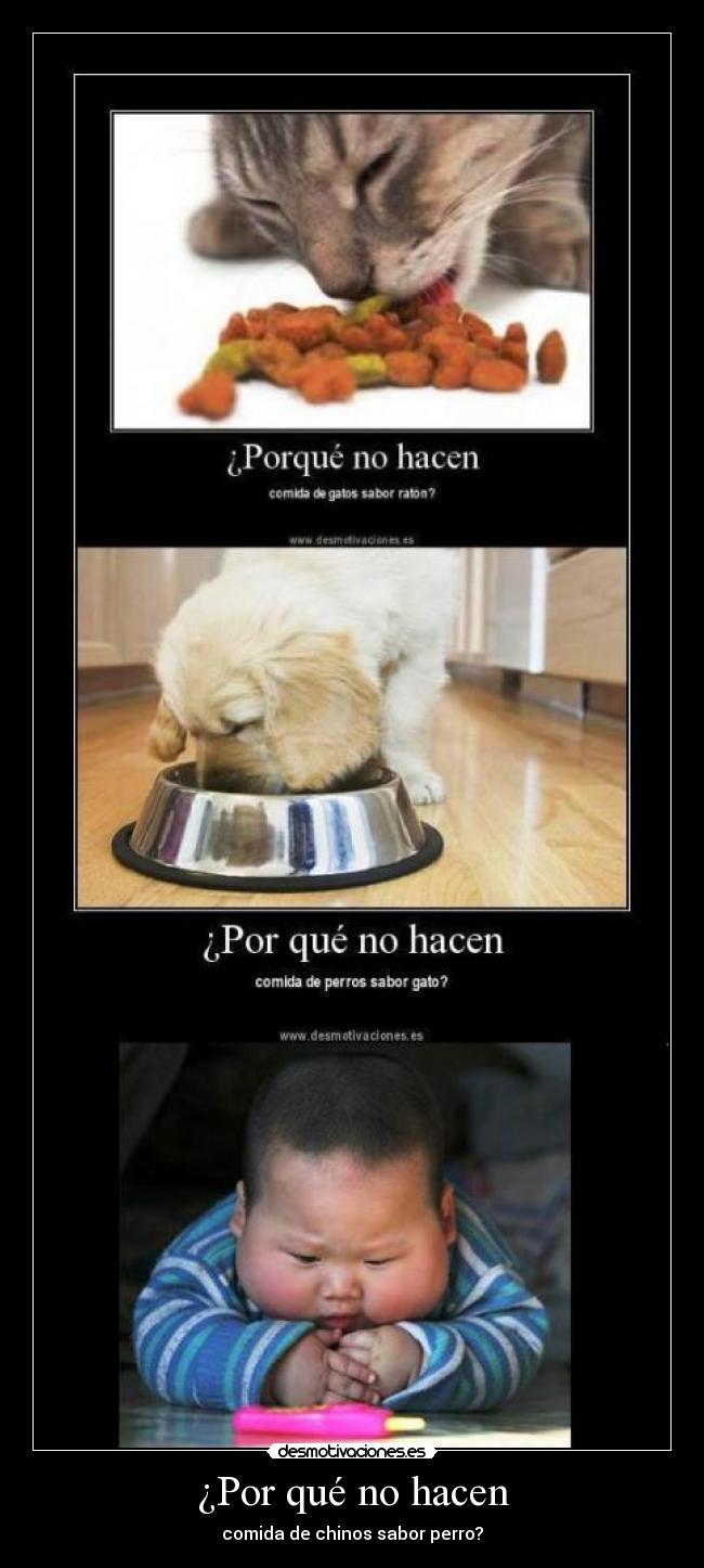 ¿Por qué no hacen - comida de chinos sabor perro?
