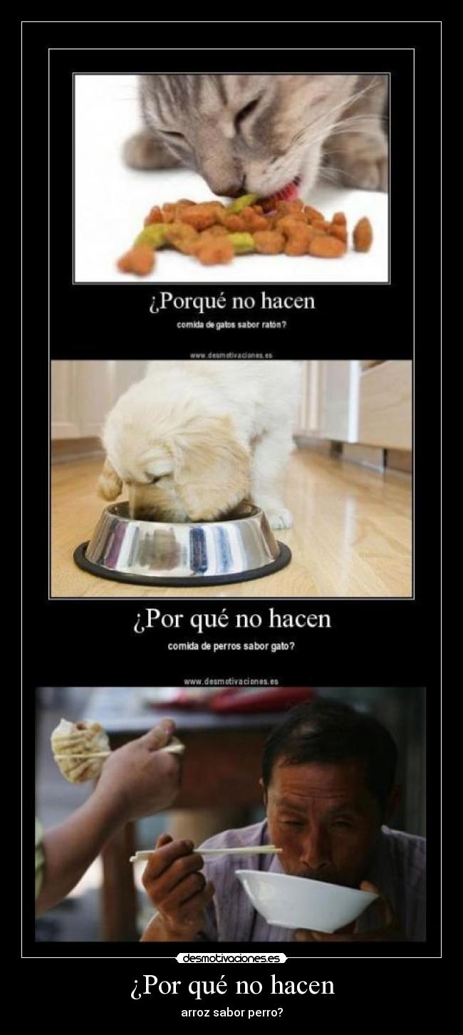 ¿Por qué no hacen - arroz sabor perro?