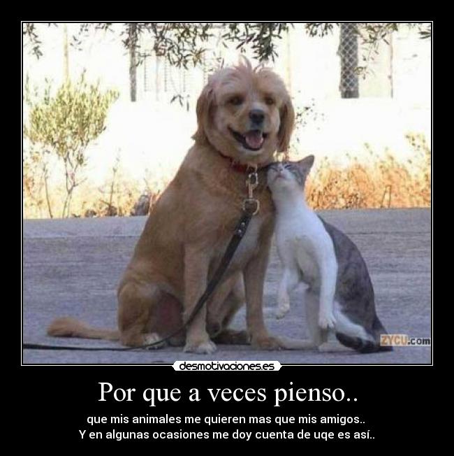 carteles nada desmotivaciones