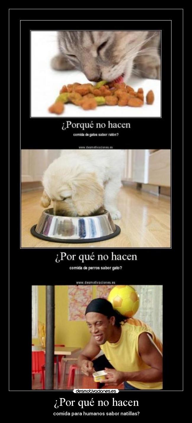 carteles comida perro gatosraton sabor natillas desmotivaciones