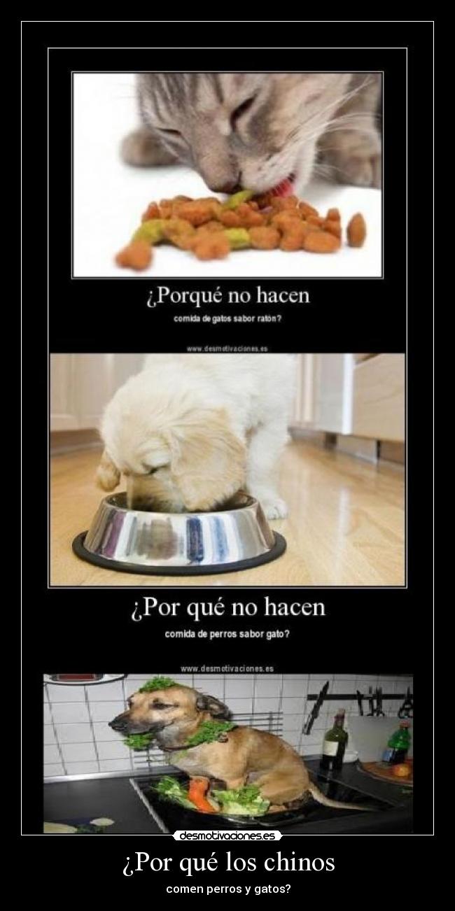 ¿Por qué los chinos - 