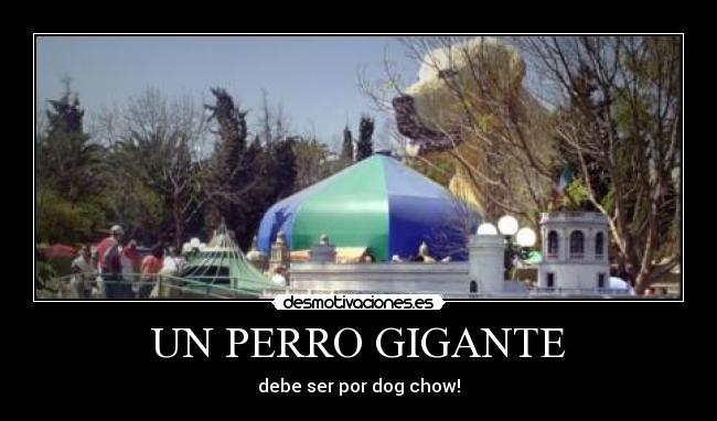 UN PERRO GIGANTE -