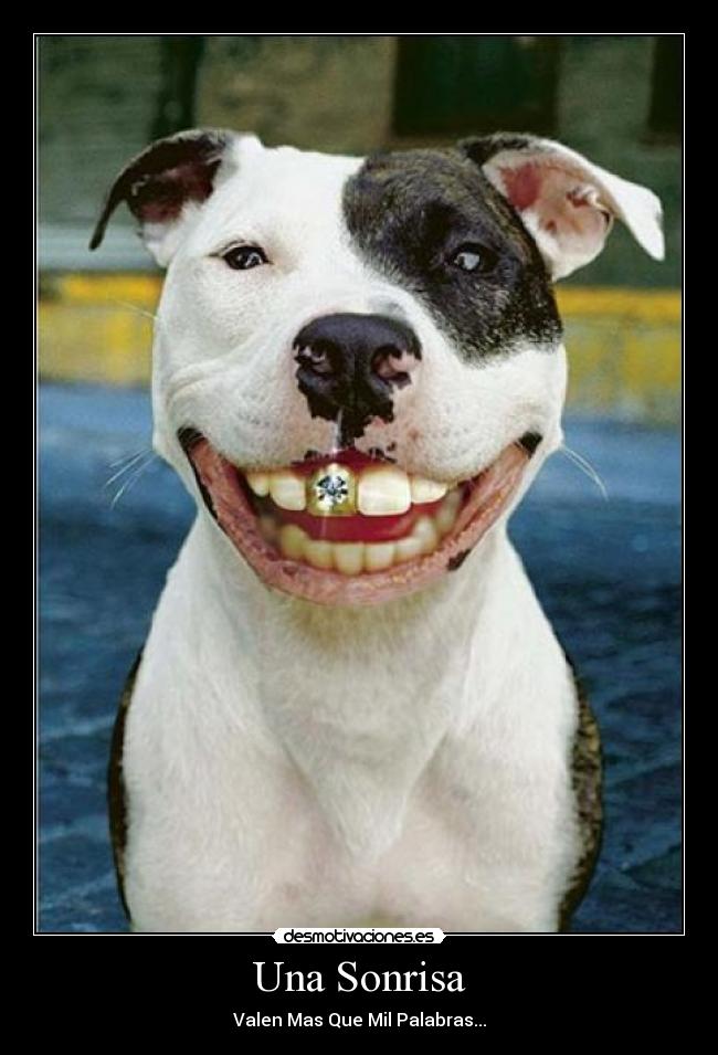 Una Sonrisa -