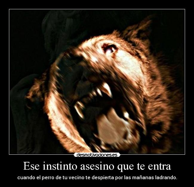 Ese instinto asesino que te entra - cuando el perro de tu vecino te despierta por las mañanas ladrando.