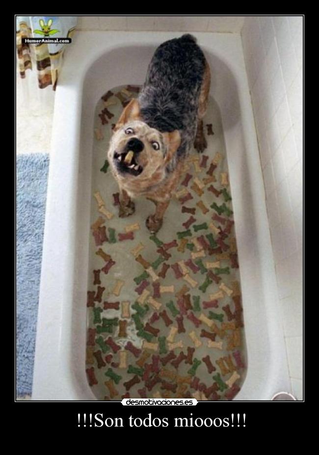 !!!Son todos miooos!!! -