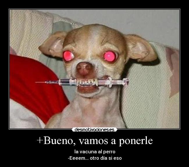 carteles perro cabreado con vacuna desmotivaciones