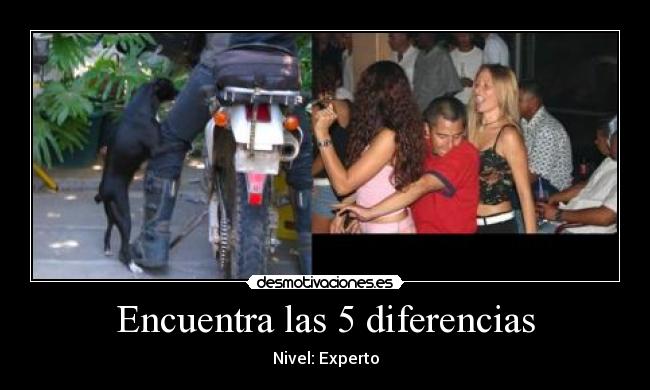 carteles negrocaca desmotivaciones