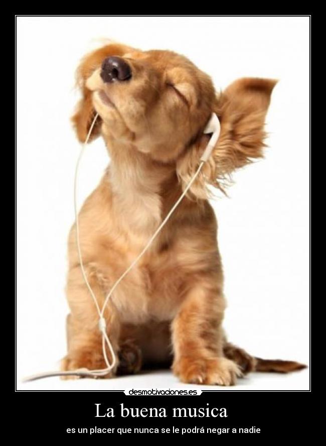 La buena musica -