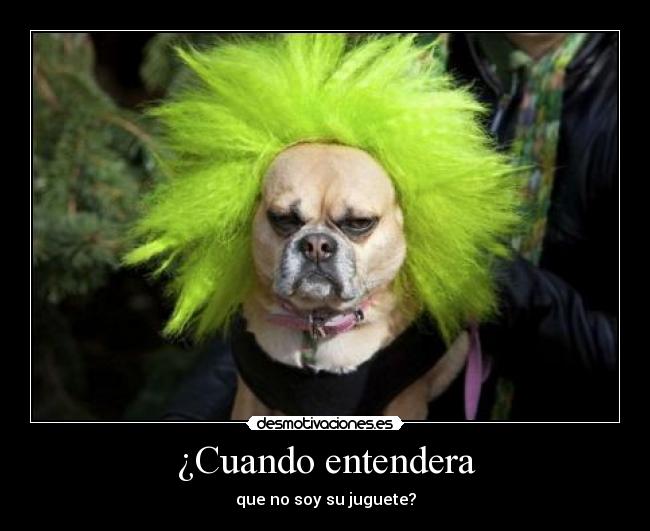 ¿Cuando entendera - 