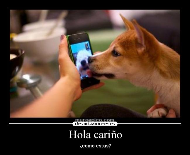 carteles nbnb desmotivaciones