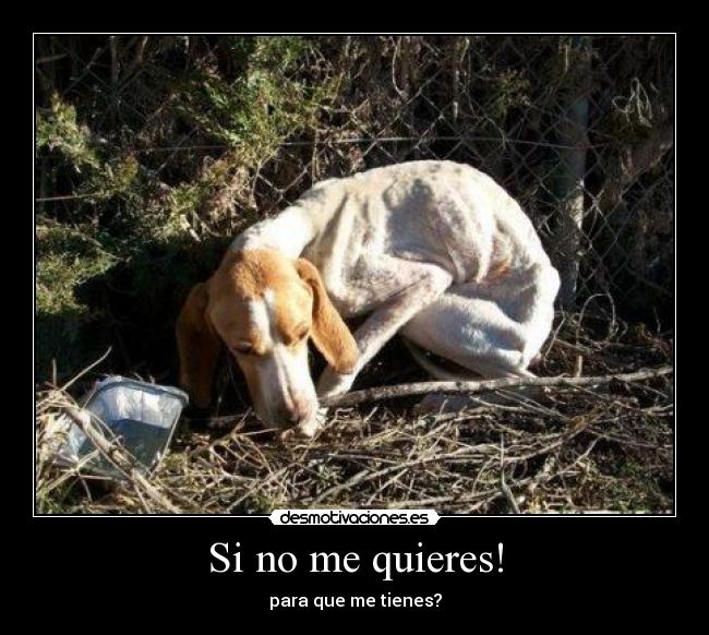 Si no me quieres! -