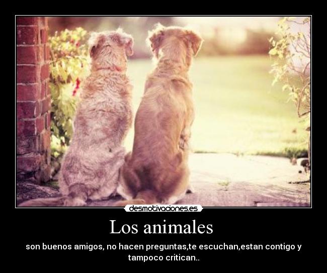 Los animales  - 