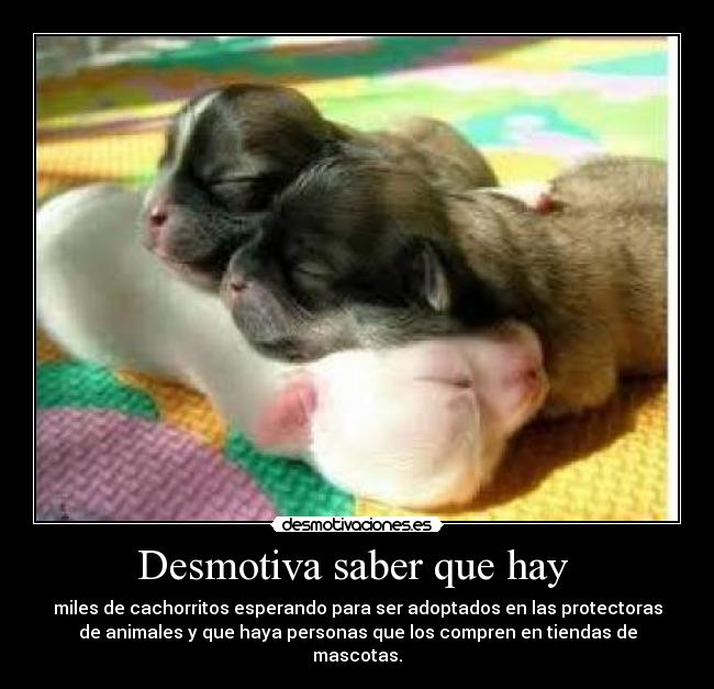 Desmotiva saber que hay -