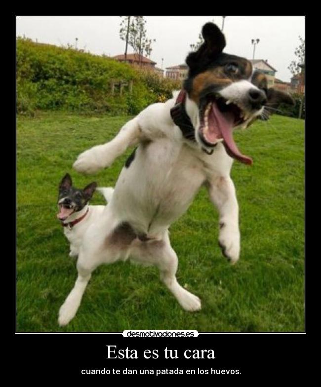 Esta es tu cara - cuando te dan una patada en los huevos.