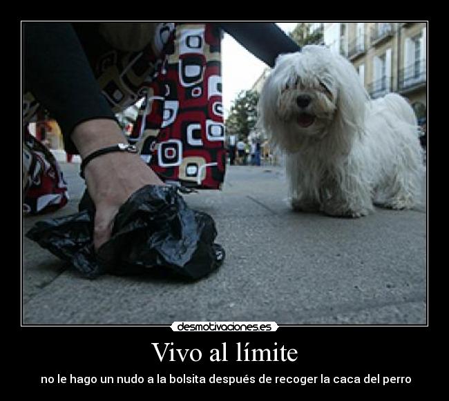 Vivo al límite - 