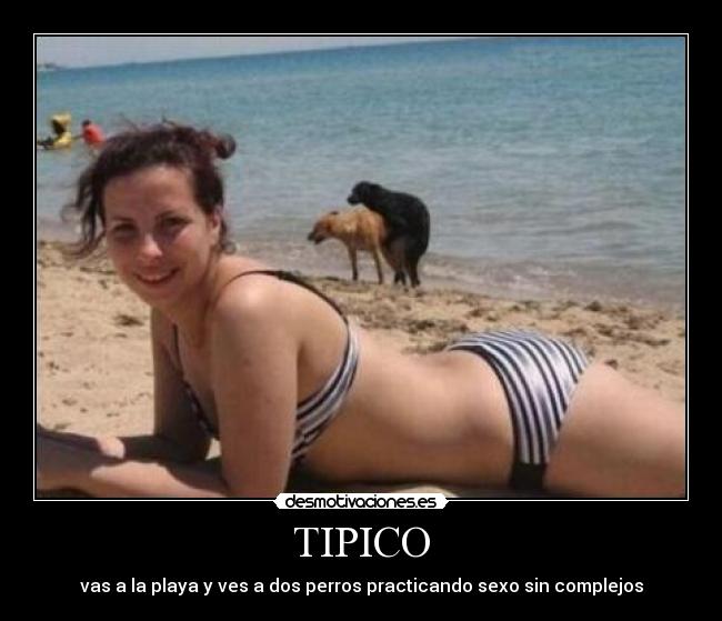 TIPICO - 