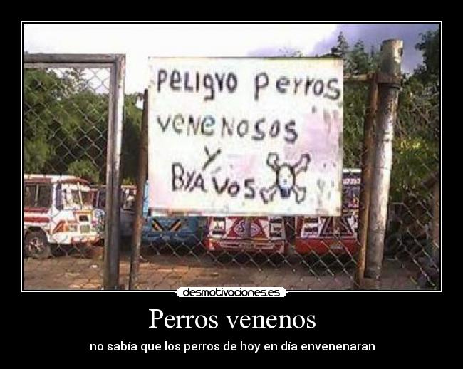 Perros venenos - 